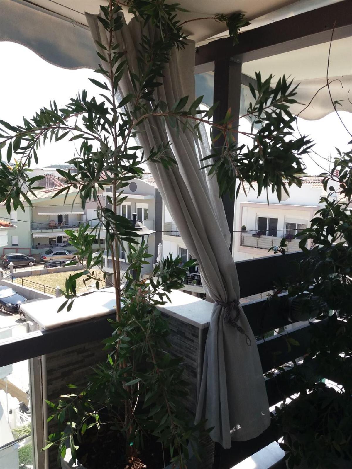 Green House Néa Péramos Εξωτερικό φωτογραφία