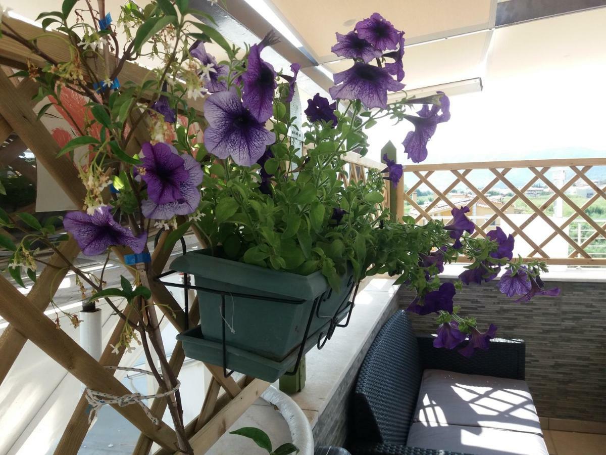 Green House Néa Péramos Εξωτερικό φωτογραφία
